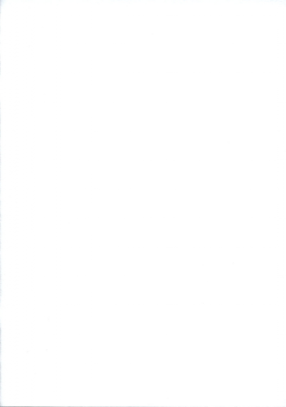 [CHIRIAKUTA] Touhou Shoujo Saiin EX (Touhou) [English] =LWB=_1