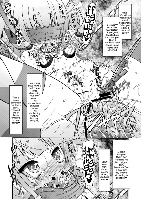 [CIRCLE ENERGY (Imaki Hitotose)] Mesu Buta ja nai mon!! Sei_13