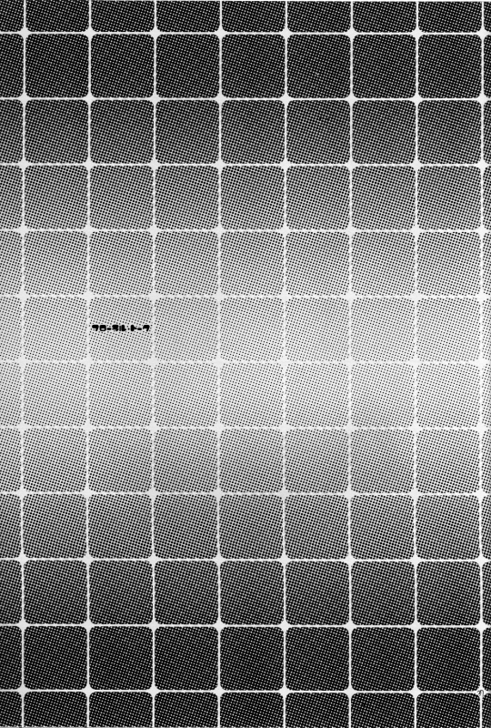 [Cafe Ruanky (Miyamoto Takeshi, Kitazato Futaba)] Floral Talk (One Piece) [English] [Tonigobe]_35