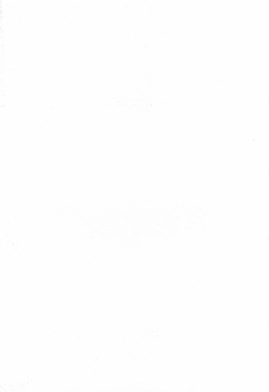 [Charlie Nishinaka] Choice! Vol.2 [English] [YQII]_004