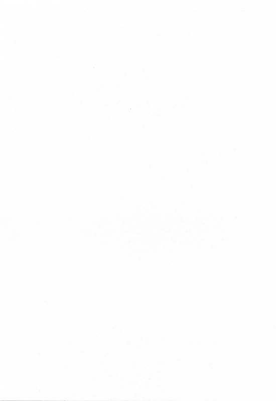 [Charlie Nishinaka] Choice! Vol.2 [English] [YQII]_005