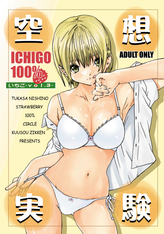 [Circle Kuusou Zikken (Munehito)] Kuusou Zikken Ichigo Vol.3 (Ichigo 100%) [English] [Kizlan]_00