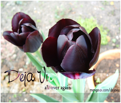 [Clover Kai (Emua)] Love Song (Final Fantasy Tactics) [English]_19