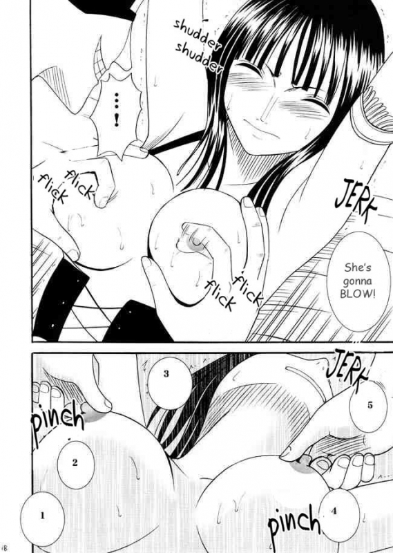 [Crimson Comics (Carmine)] Robin Hard (One Piece) [English]_16