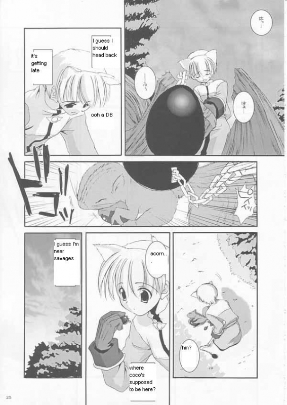 [Digital Lover (Nakajima Yuka)] D.L.action 17 (Ragnarok Online) [English]_24