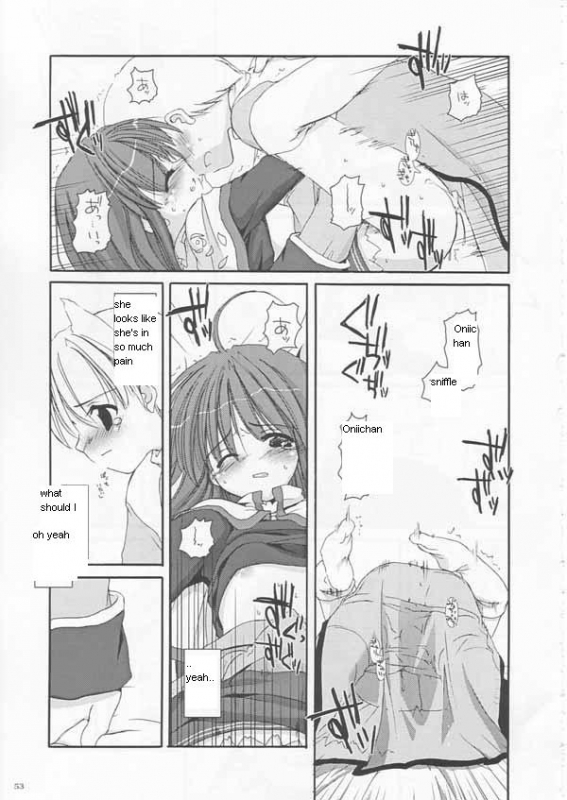 [Digital Lover (Nakajima Yuka)] D.L.action 17 (Ragnarok Online) [English]_52