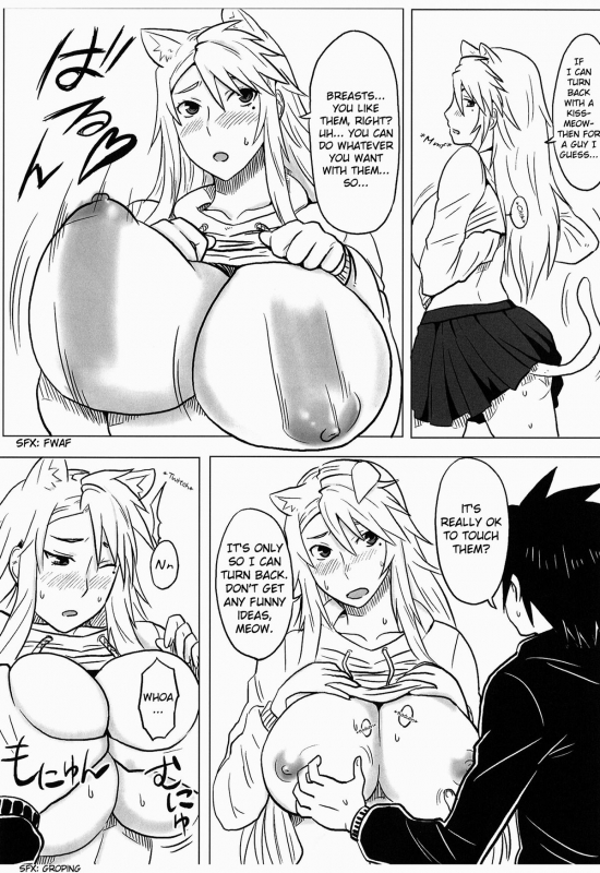 [Doragonia (Toryuu)] Kanakoi! (Nyan Koi!) [English]_09