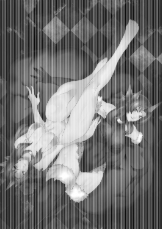 [Electric_Dragon] Leona ★ Heroes - League of Legends Fan Book (League of Legends) [English]_01