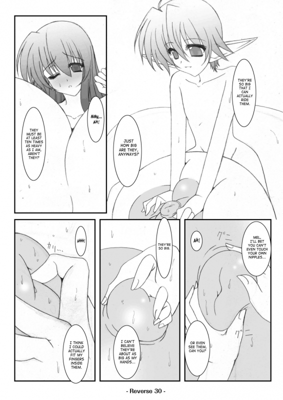 [Elflite (Akira Agata)] Reverse [English] [SaHa]_31