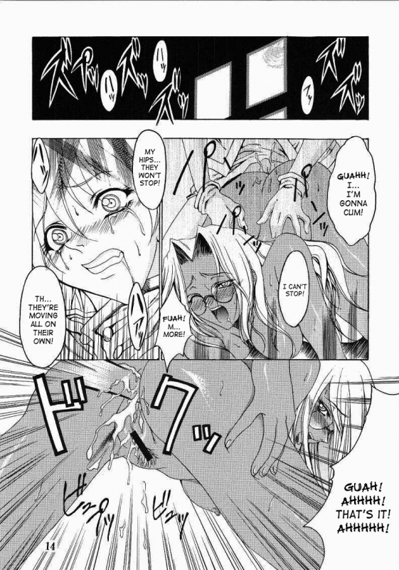 [FAKESTAR (Miharu)] CHAOS STEP (Hellsing) [English] [SaHa]_12