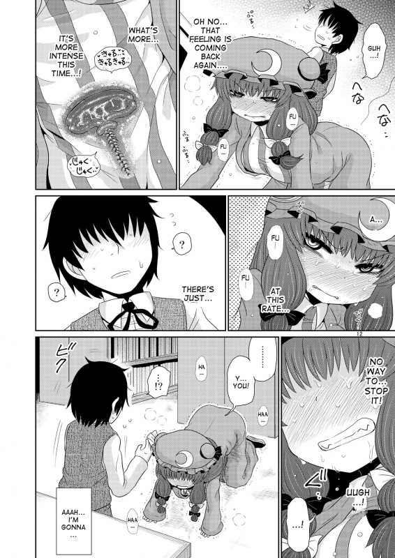 [Fugudoku (Katou Fuguo)] Suru dake Juu. (Touhou Project) [English] [desudesu] [Digital]_10