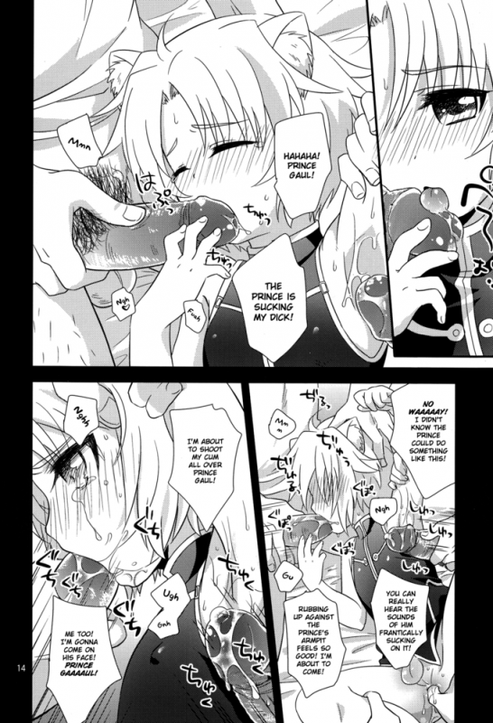 [Fuwawa (Oki no Matsushiro)] Gaul Denka no _12