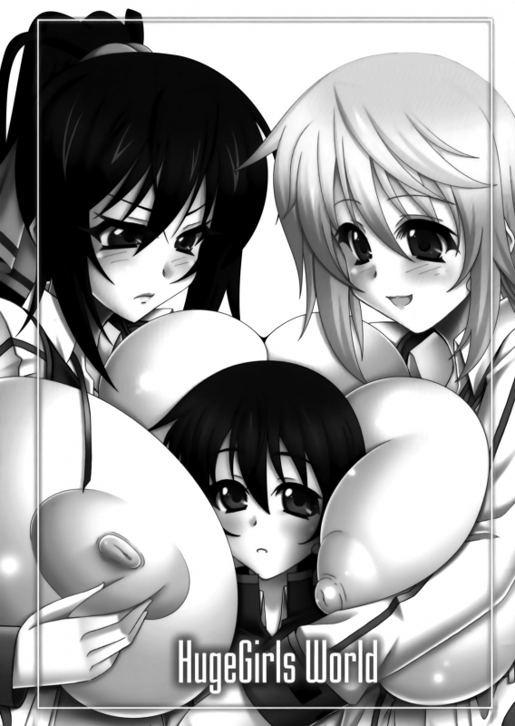 [elflite (Agata Akira)] HugeGirls World (IS Infinite Stratos) [English]_01