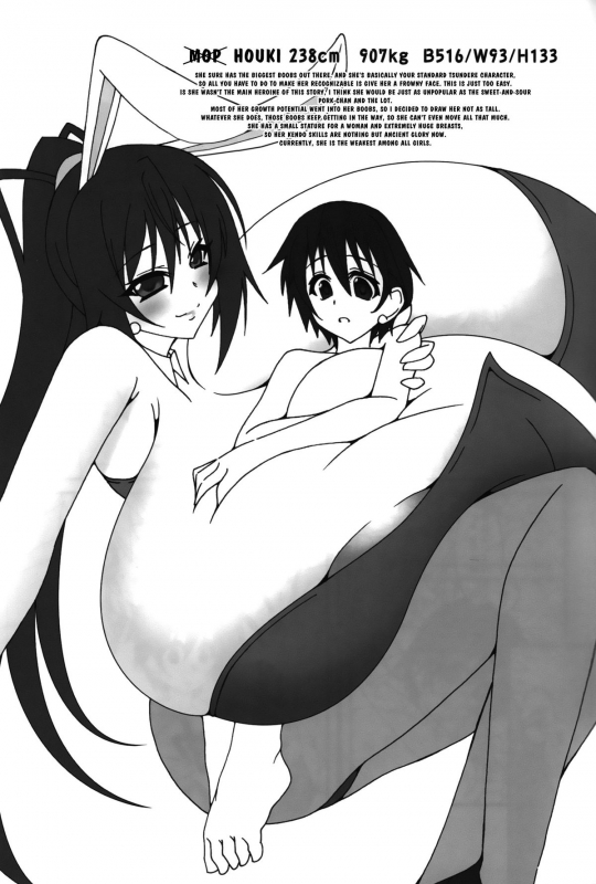 [elflite (Agata Akira)] HugeGirls World (IS Infinite Stratos) [English]_25