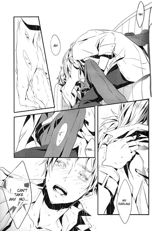 [★ (Komugiko)] Itoshii Hito wa Madoromi no Naka ni (Axis Powers Hetalia) {English] [Incomplete]_21