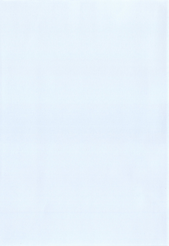 [Shindou] Ojou-sama to Maid no Midara na Seikatsu [Chinese] [无毒汉化组]_205