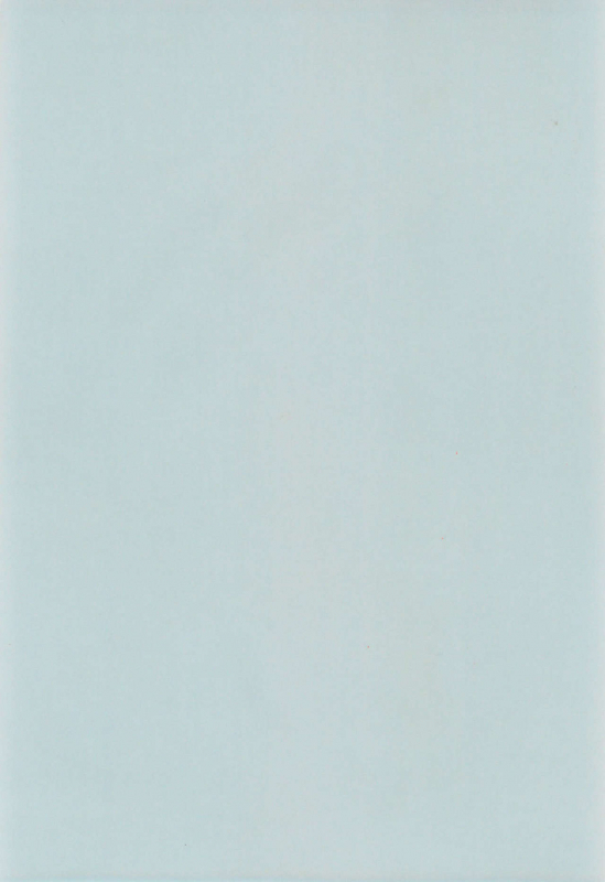 (C52) [Nekofly Set Meal (Nekofly)] TOY BOX_02