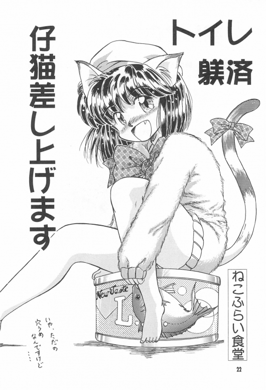 (C52) [Nekofly Set Meal (Nekofly)] TOY BOX_23