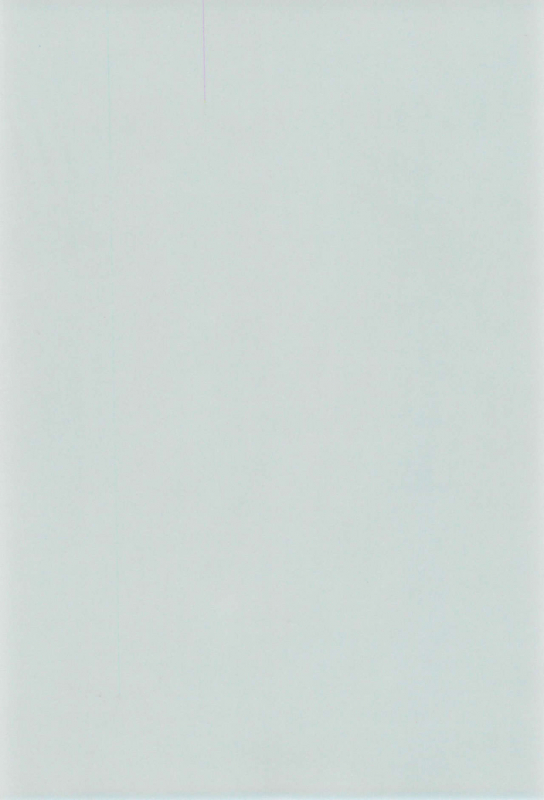 (C52) [Nekofly Set Meal (Nekofly)] TOY BOX_77