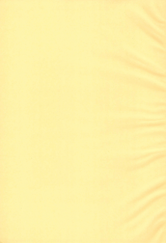 (C75) [Pop’n Nyannya (U-ko)] Shinsetsu Tamers (Digimon Tamers)_02