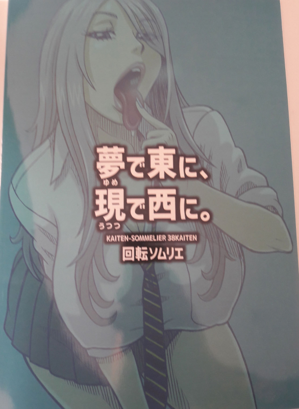 (C96) [Kaiten Sommelier (13.)] 38 Kaiten Yume de Higashi ni, Utsutsu de Nishi ni._16