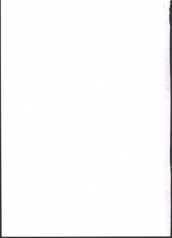 (C97) [Wild Cat House (Nekonyan)] Kaban-chan wa Sugoin da yo! Saimin nanka ni Makenain dakara! (Kemono Friend_30