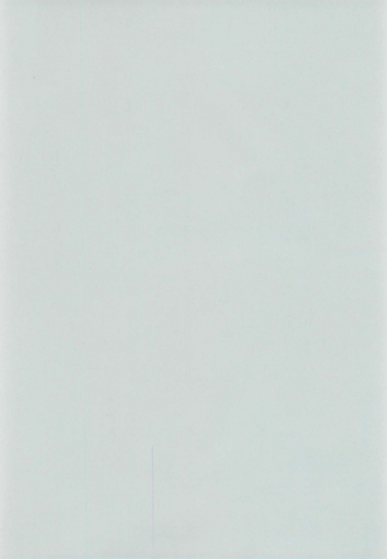 (C52) [Nekofly Set Meal (Nekofly)] TOY BOX_03