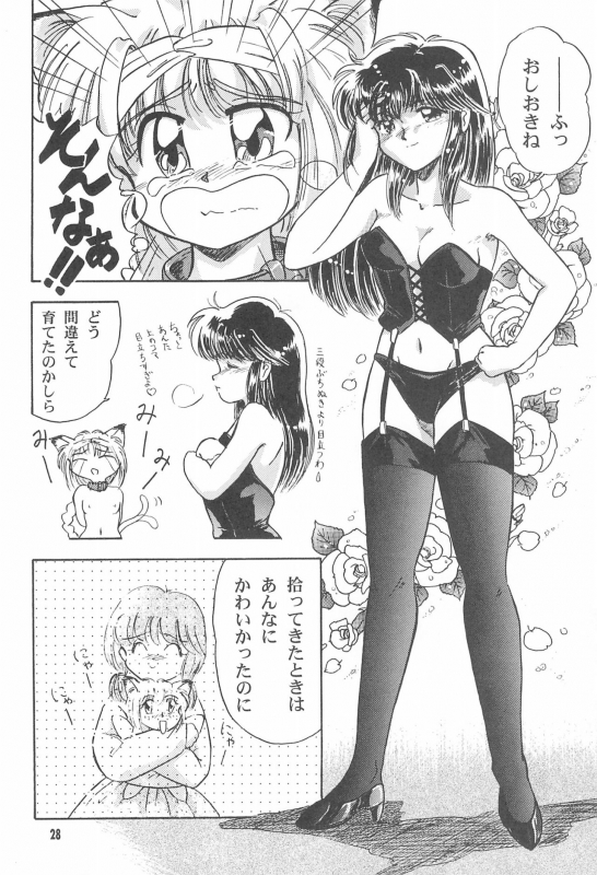 (C52) [Nekofly Set Meal (Nekofly)] TOY BOX_29