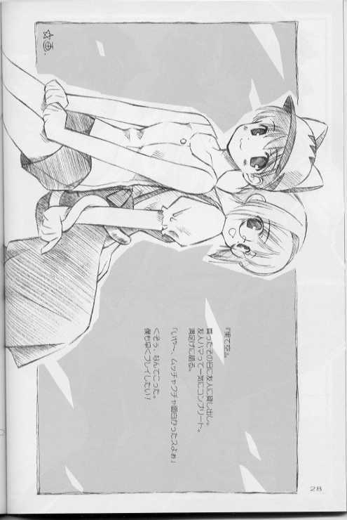 (C61) [Renrendou (Gayarou)] Iroiro. (Various)_27