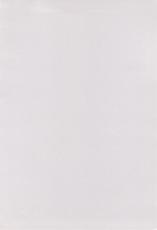 (C65) [SOLEX (Raijin Maru, TOKU)] RURIMIX SP (Martian Successor Nadesico)_02