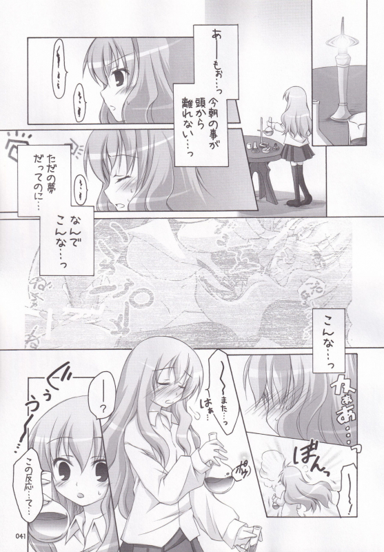 (C72) [Titokara 2nd Branch (Manami Tatsuya)] Ruizukushi (Zero no Tsukaima)_43