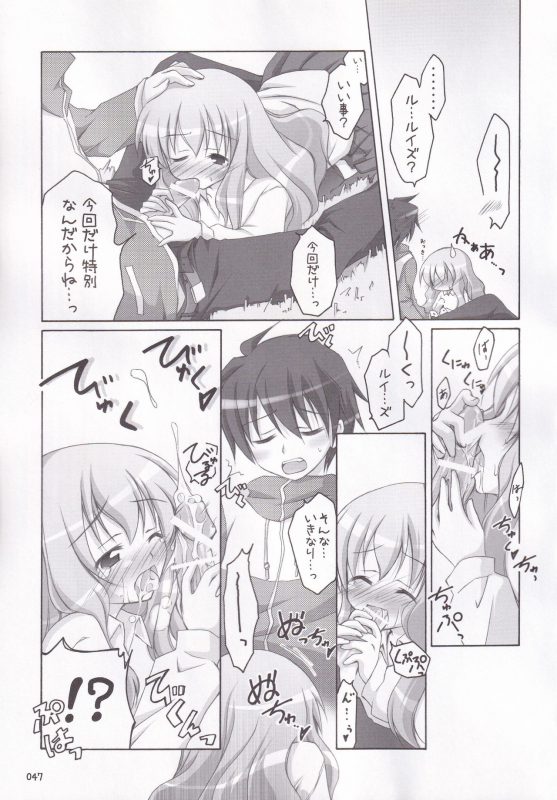 (C72) [Titokara 2nd Branch (Manami Tatsuya)] Ruizukushi (Zero no Tsukaima)_49