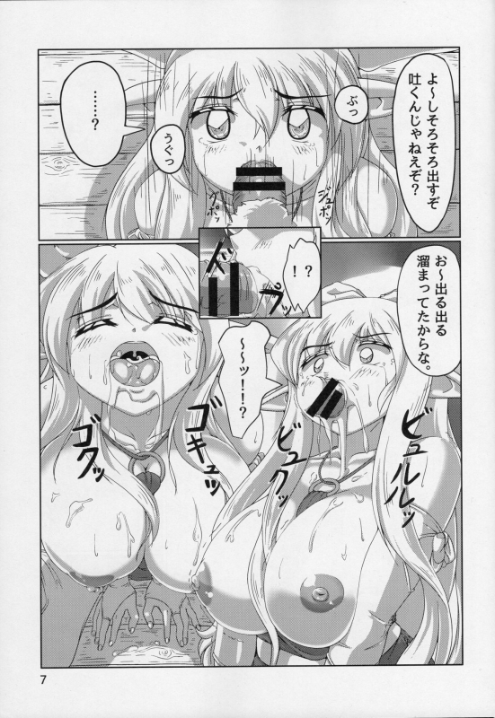 (C86) [Momoshiba Anzu (Nafutan)] A Day With A Half-Elf (Zero no Tsukaima)_06