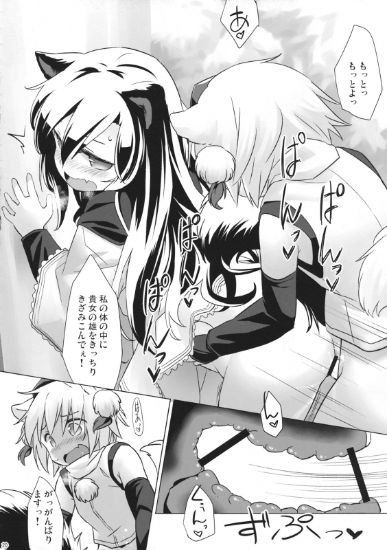 (C93) [Animal Passion (Yude Pea)] Uetaru Ookami Bou o Osorezu (Touhou Project)_18