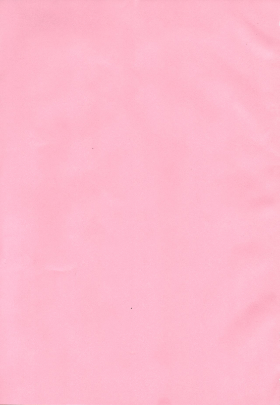 (C94) [UNKNOWN MEAT (Kojima Video)] Ochikobore Succubus_02