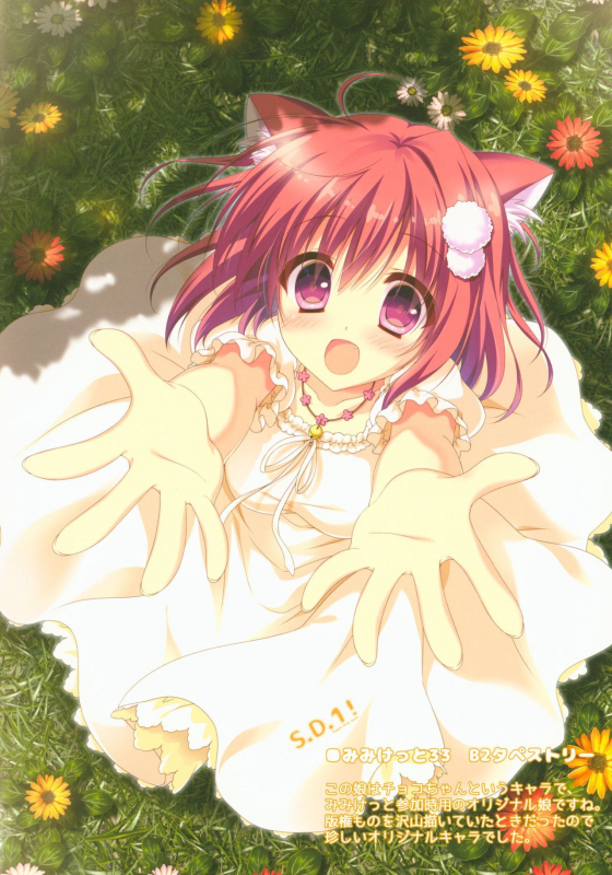 (C95) [Citron no mori (Yuzuna Hiyo)] S.D.1!_05