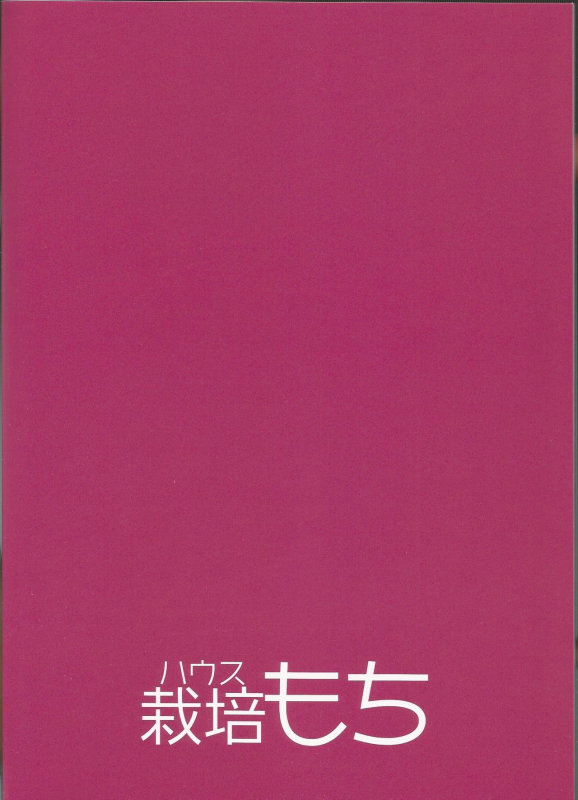 (C96) [House Saibai Mochi (Shiratama Moti, Kagono Tori)] Hadaka no Kozue-chan_29
