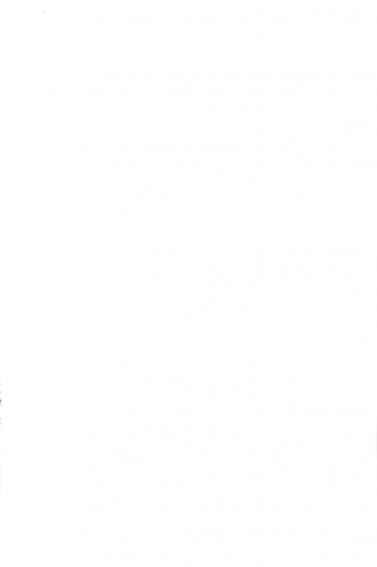 (C96) [Inoridou (Inori)] CONFINED HANA (Xenoblade Chronicles 2)_01