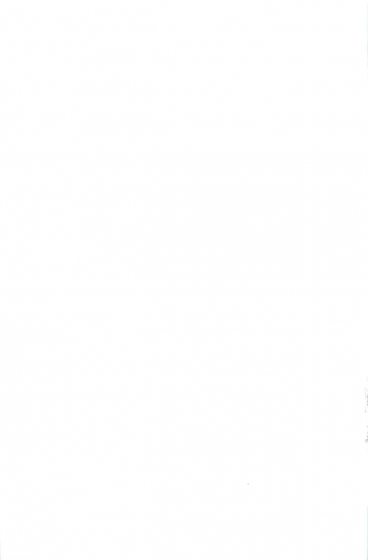 (C96) [Inoridou (Inori)] CONFINED HANA (Xenoblade Chronicles 2)_52