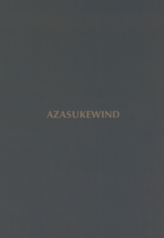 (C97) [Azasuke Wind (AZASUKE)] Tenshoku no Susume (Granblue Fantasy)_25