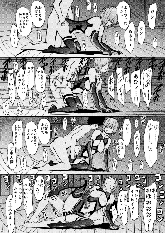 (C97) [Dairiseki (Hakaba)] Aijoku Aijoku Mash Aijoku (FateGrand Order)_28