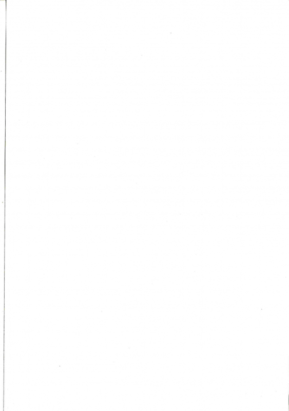 (C97) [F.W.ZHolic (FAN)] Alter-chan, Saimin Bounyuu Quest Shienchuu (FateGrand Order)_18