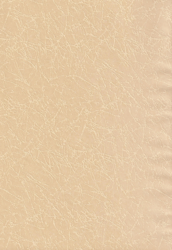 (C97) [Nekomasshigura (Uzukinoko)] CLOSED VACATION (BLAZBLUE)_02