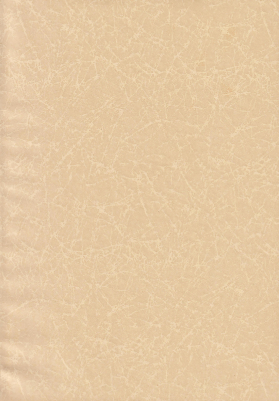 (C97) [Nekomasshigura (Uzukinoko)] CLOSED VACATION (BLAZBLUE)_03