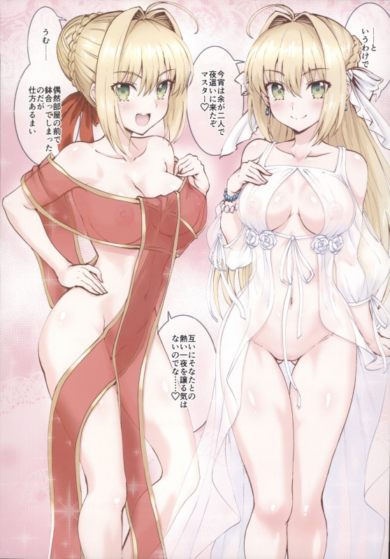 (C97) [ROHGUN_KYOH (Rohgun)] Nero+Nero! ２ finale (FateGrand Order)_18