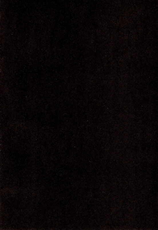 (C97) [Rinjuu Circus (Haguhagu)] Kinrou Shourei Gohoushi JS Chiiki Kouryuu Seido_02