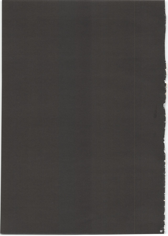 (C97) [Tenkirin (Kanroame)] Datte Fuku, Taka Iindamon (Pokémon Sword and Shield, Pokémon Sun and Moon)_16