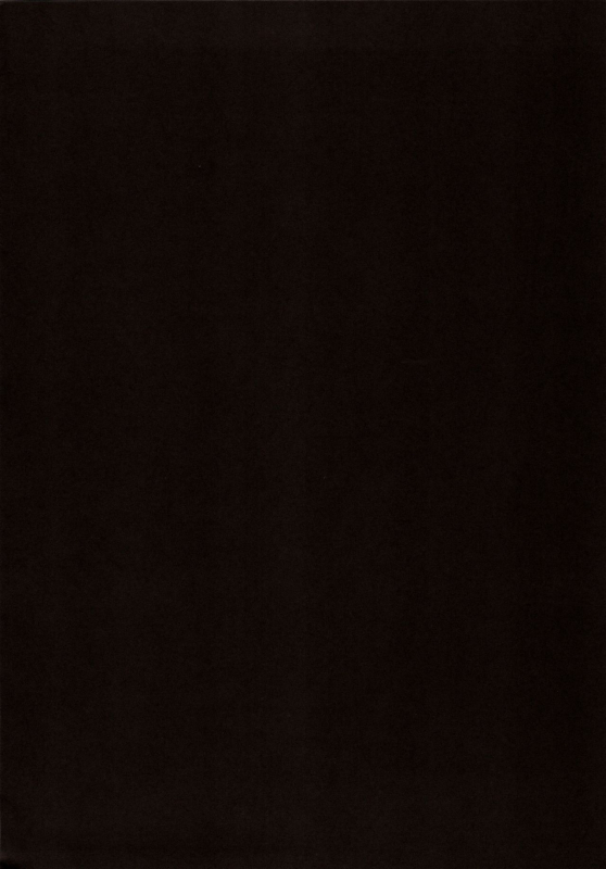 (C97) [satomachine. (Satou Samu)] Kahogo na Shoukaku no Yuuutsu (Kantai Collection -KanColle-)_02