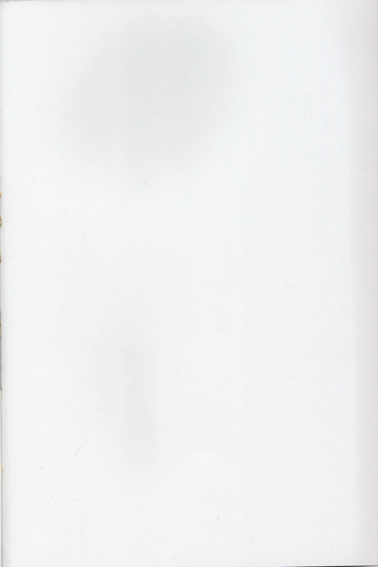 (COMIC1☆16) [Momoshiba Anzu (Nafutan)] Kitaku Zenya no Shuushin Mae. (Zero no Tsukaima)_01