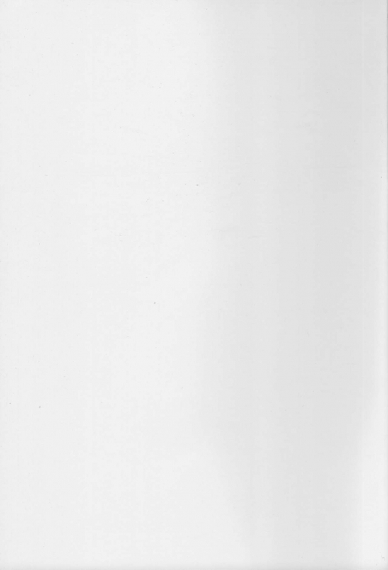 (COMIC1☆16) [Momoshiba Anzu (Nafutan)] Kitaku Zenya no Shuushin Mae. (Zero no Tsukaima)_26